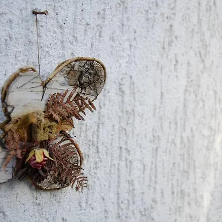 Kernberg Διαμέρισμα